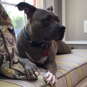 🌸CLOSET CLEAN OUT🌸 bundle 2 or more & save 20%!!